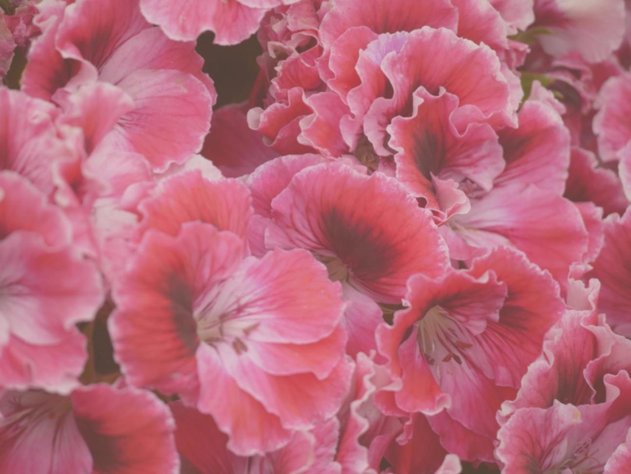 Advanced game development workspace with multiple monitors showing Unity interface and code