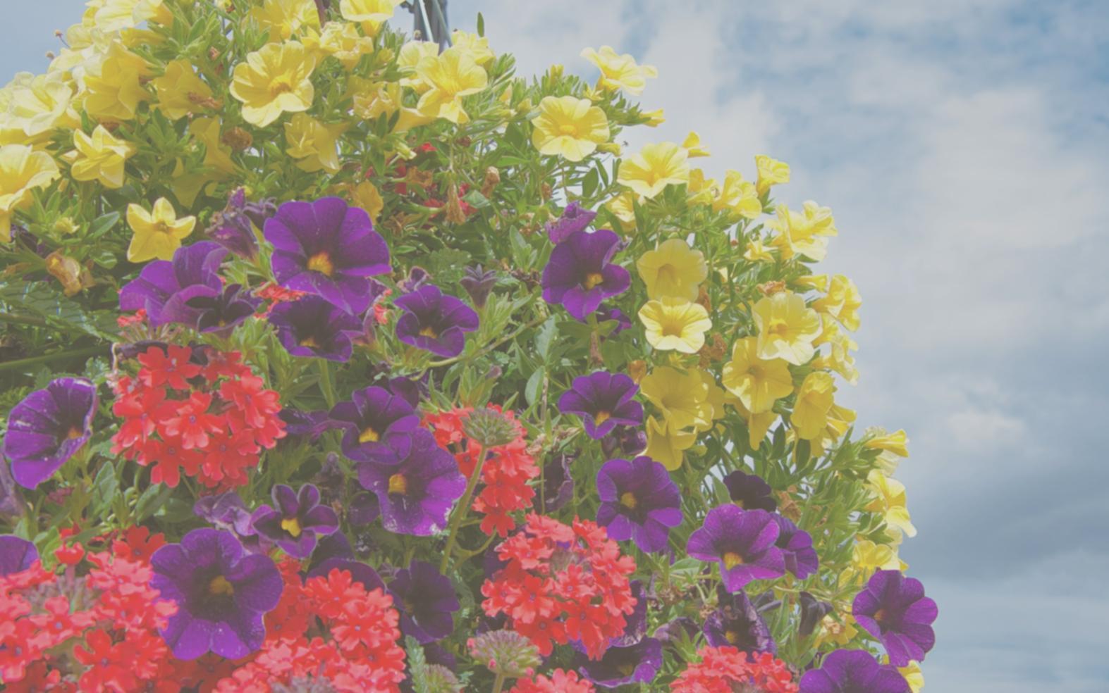 Students working on game development projects