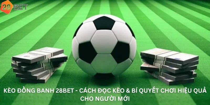 Kèo Đồng Banh 28Bet - Cách Đọc Kèo & Bí Quyết Chơi Hiệu Quả Cho Người Mới